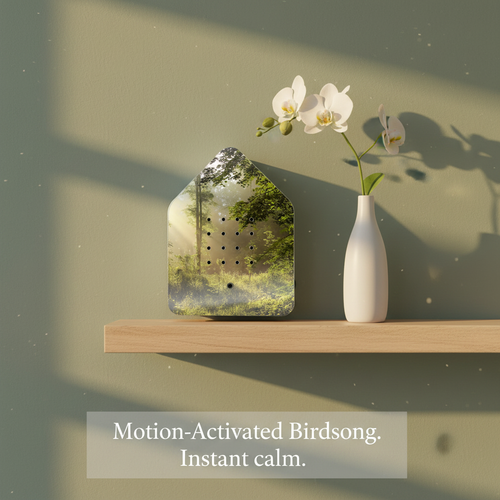 Birdsong Sound Box — Wall Setting
